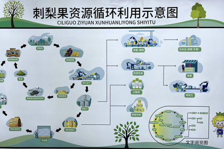 联合加乐项目图3